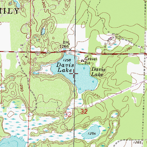 Topographic Map of Davis Lake, MN