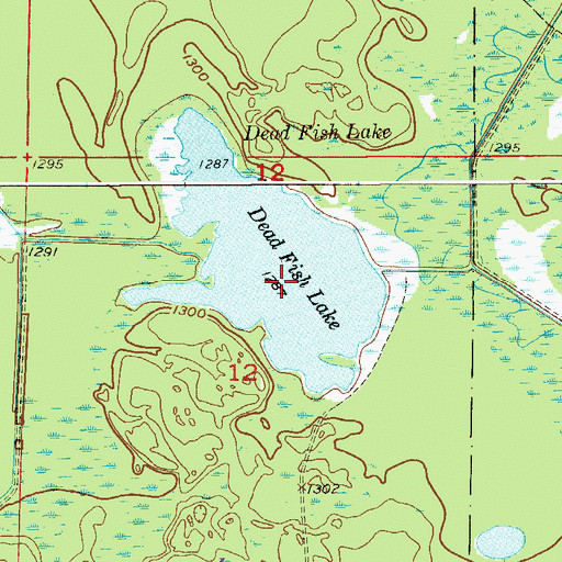 Topographic Map of Dead Fish Lake, MN