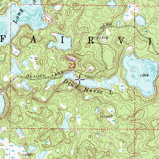 Topographic Map of Dead Horse Lake, MN