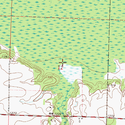 Topographic Map of Deer Creek, MN