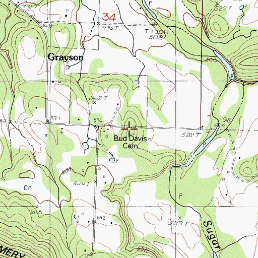 Topographic Map of Bud Davis Cemetery, AR