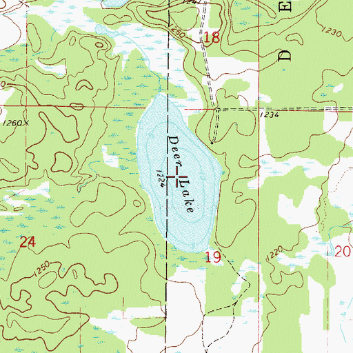Topographic Map of Deer Lake, MN