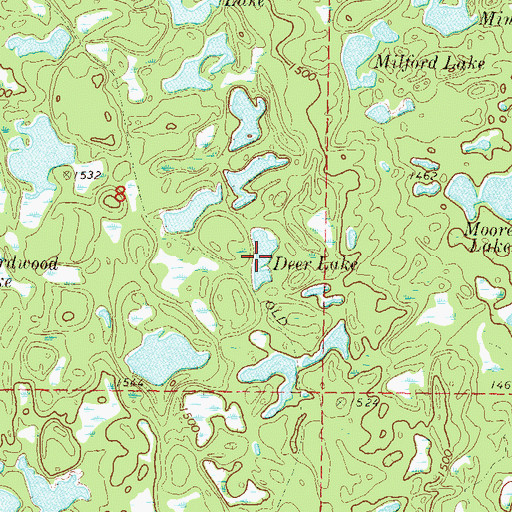 Topographic Map of Deer Lake, MN
