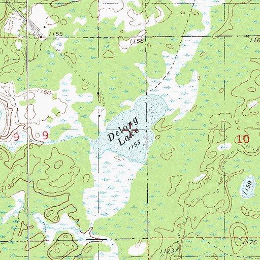 Topographic Map of Delong Lake, MN