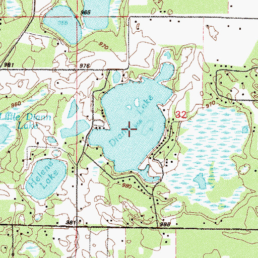 Topographic Map of Diann Lake, MN