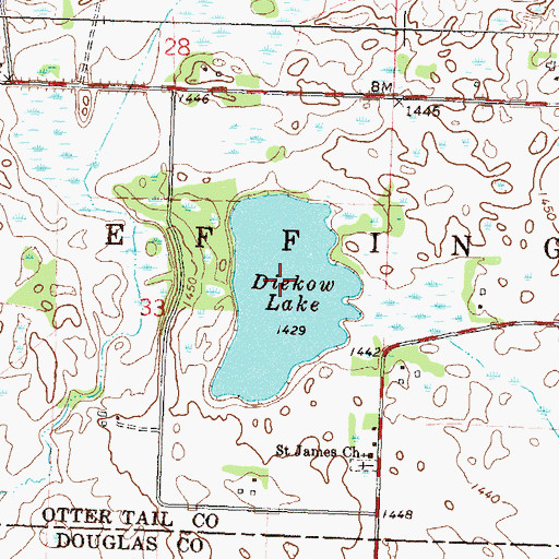 Topographic Map of Diekow Lake, MN