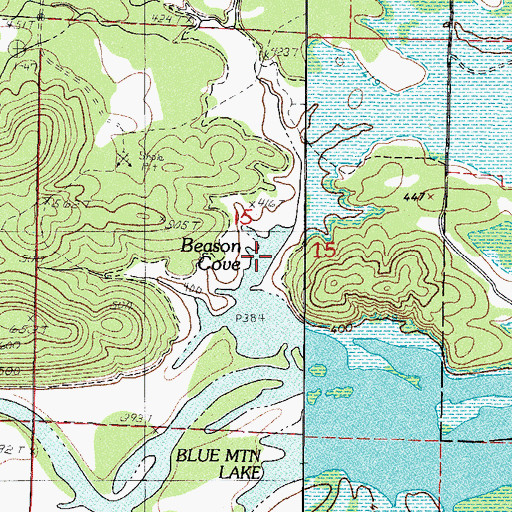 Topographic Map of Beason Cove, AR