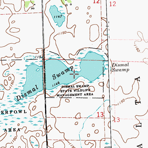 Topographic Map of Dismal Swamp, MN