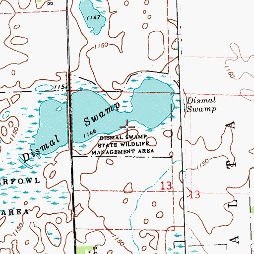 Topographic Map of Dismal Swamp State Wildlife Management Area, MN