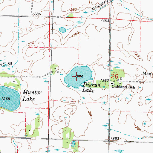 Topographic Map of Disrud Lake, MN