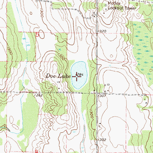 Topographic Map of Doe Lake, MN