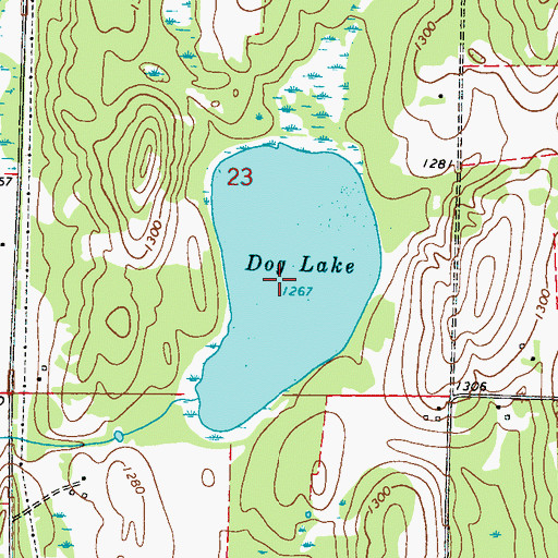 Topographic Map of Dog Lake, MN