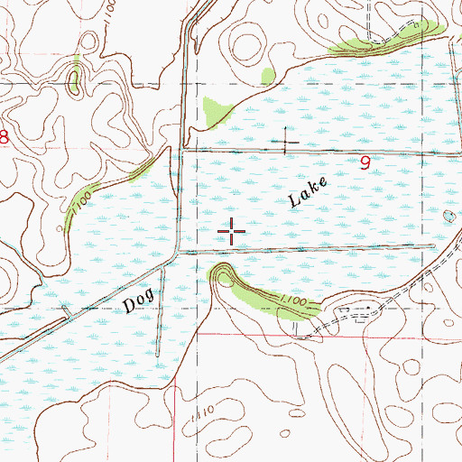 Topographic Map of Dog Lake, MN