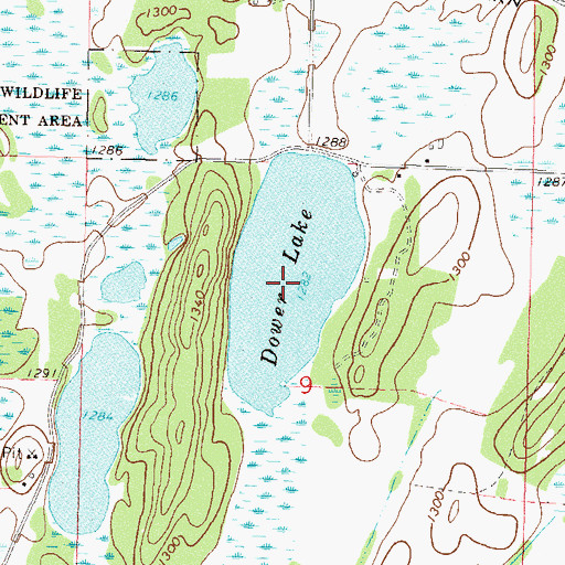 Topographic Map of Dower Lake, MN