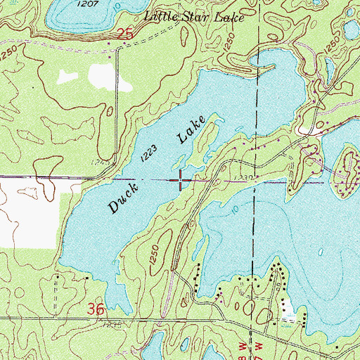 Topographic Map of Duck Lake, MN
