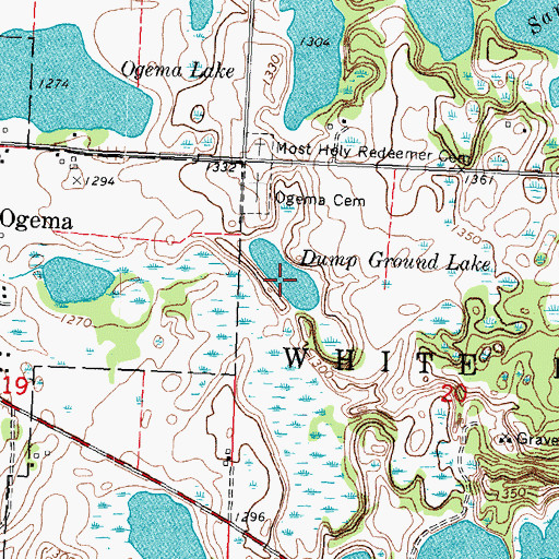 Topographic Map of Dump Ground Lake, MN
