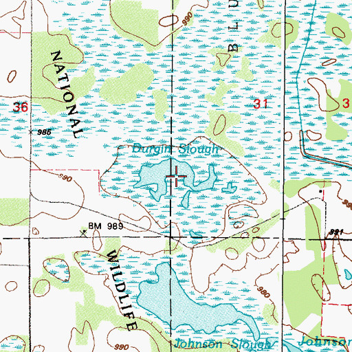 Topographic Map of Durgin Slough, MN