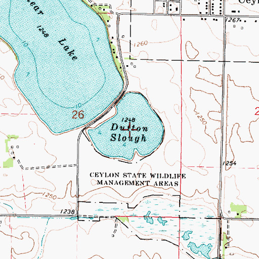 Topographic Map of Dutton Slough, MN