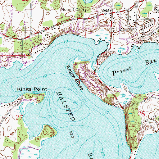 Topographic Map of Eagle Bluff, MN