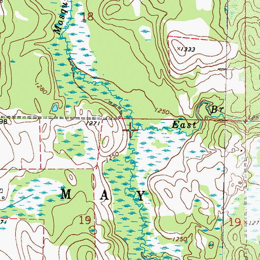 Topographic Map of East Branch Mosquito Creek, MN