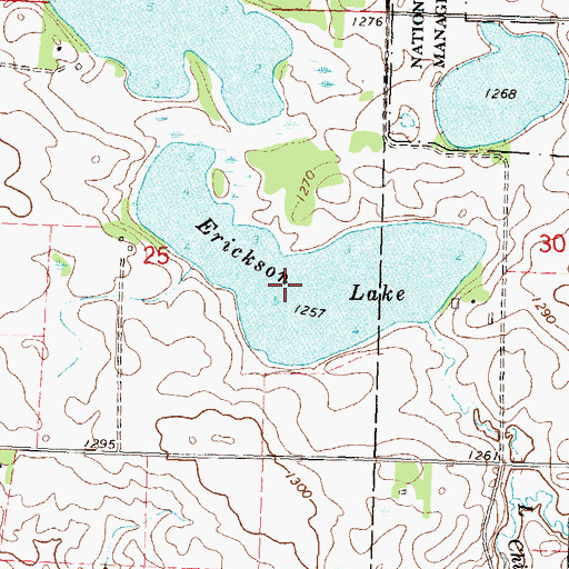 Topographic Map of Erickson Lake, MN