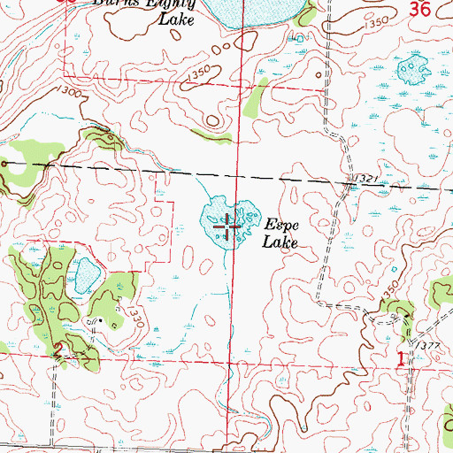 Topographic Map of Espe Lake, MN