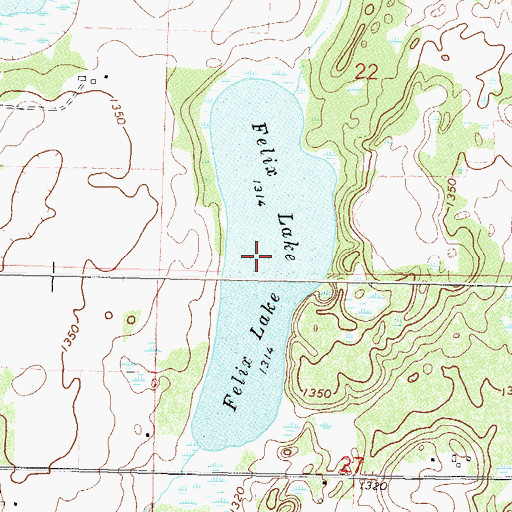 Topographic Map of Felix Lake, MN