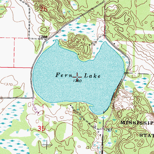 Topographic Map of Fern Lake, MN