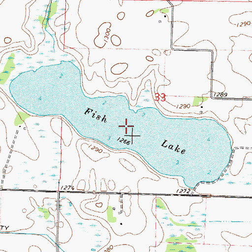 Topographic Map of Fish Lake, MN