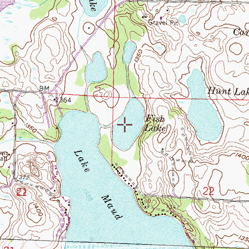 Topographic Map of Fish Lake, MN