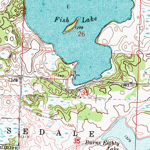 Topographic Map of Fish Lake, MN