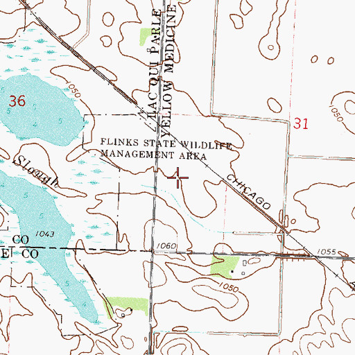 Topographic Map of Flinks State Wildlife Management Area, MN