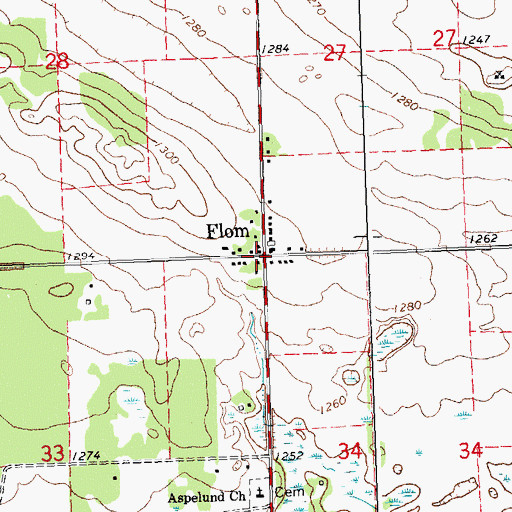 Topographic Map of Flom, MN