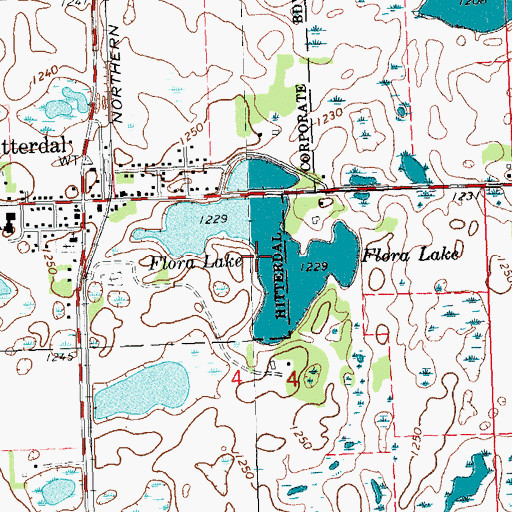 Topographic Map of Flora Lake, MN