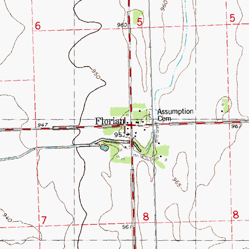 Topographic Map of Florian, MN