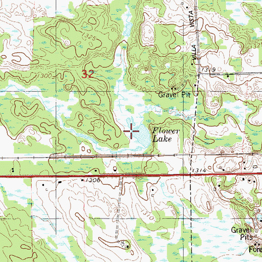 Topographic Map of Flower Lake, MN