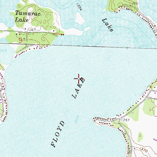 Topographic Map of Floyd Lake, MN