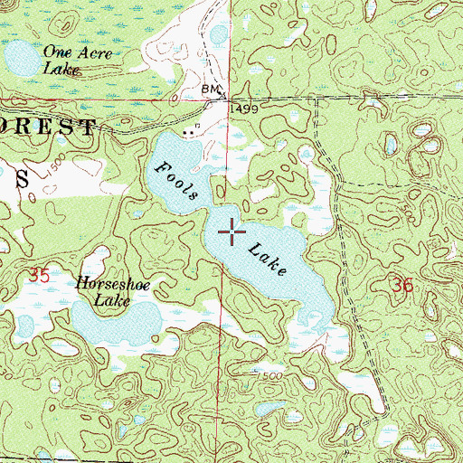 Topographic Map of Fools Lake, MN