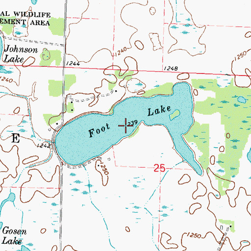 Topographic Map of Foot Lake, MN