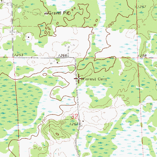 Topographic Map of Forest Cemetery, MN