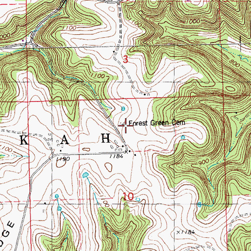 Topographic Map of Forest Green Cemetery, MN