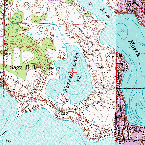 Topographic Map of Forest Lake, MN