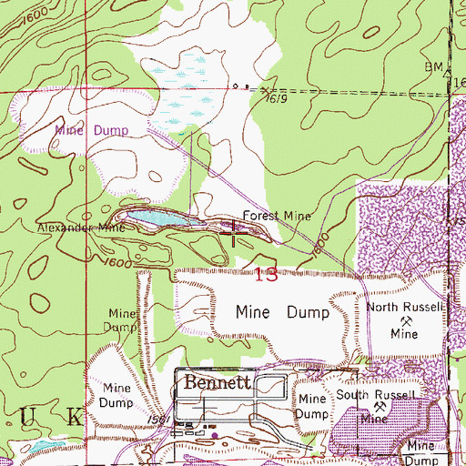 Topographic Map of Forest Mine, MN