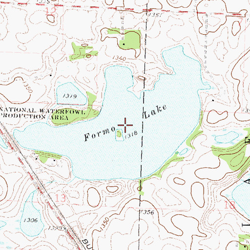 Topographic Map of Formo Lake, MN