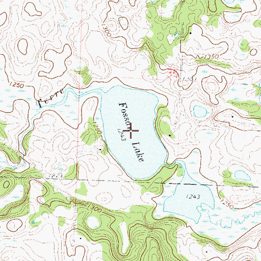 Topographic Map of Fossan Lake, MN