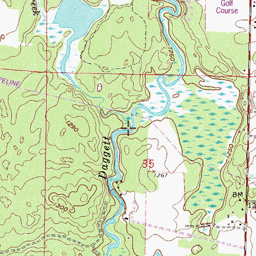Topographic Map of Fox Creek, MN