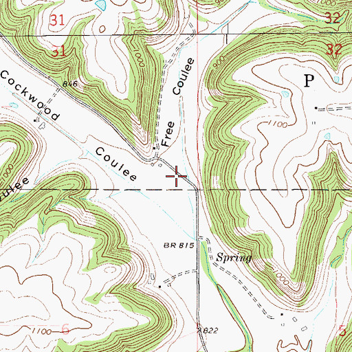 Topographic Map of Free Coulee, MN