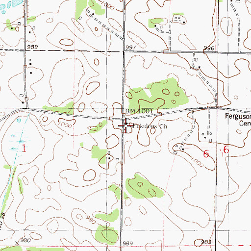 Topographic Map of Friedens Church, MN