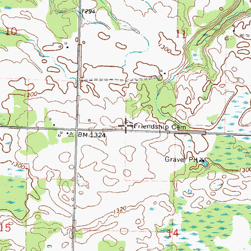 Topographic Map of Friendship Cemetery, MN