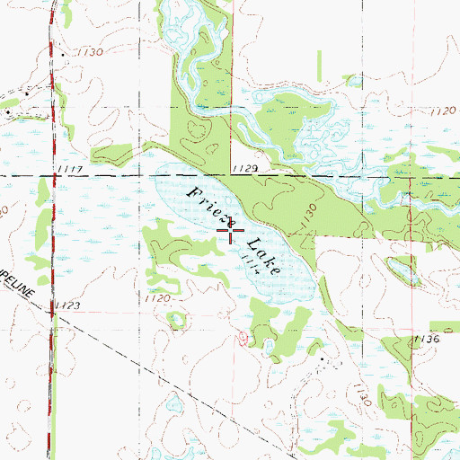 Topographic Map of Frieze Lake, MN